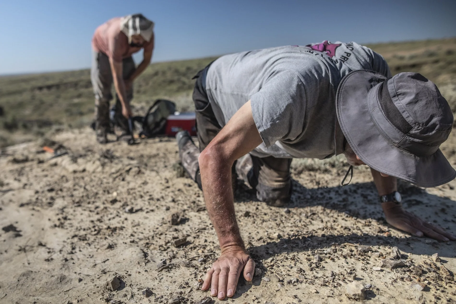 Dinoland, Dieuwertje Bravenboer-5.jpg