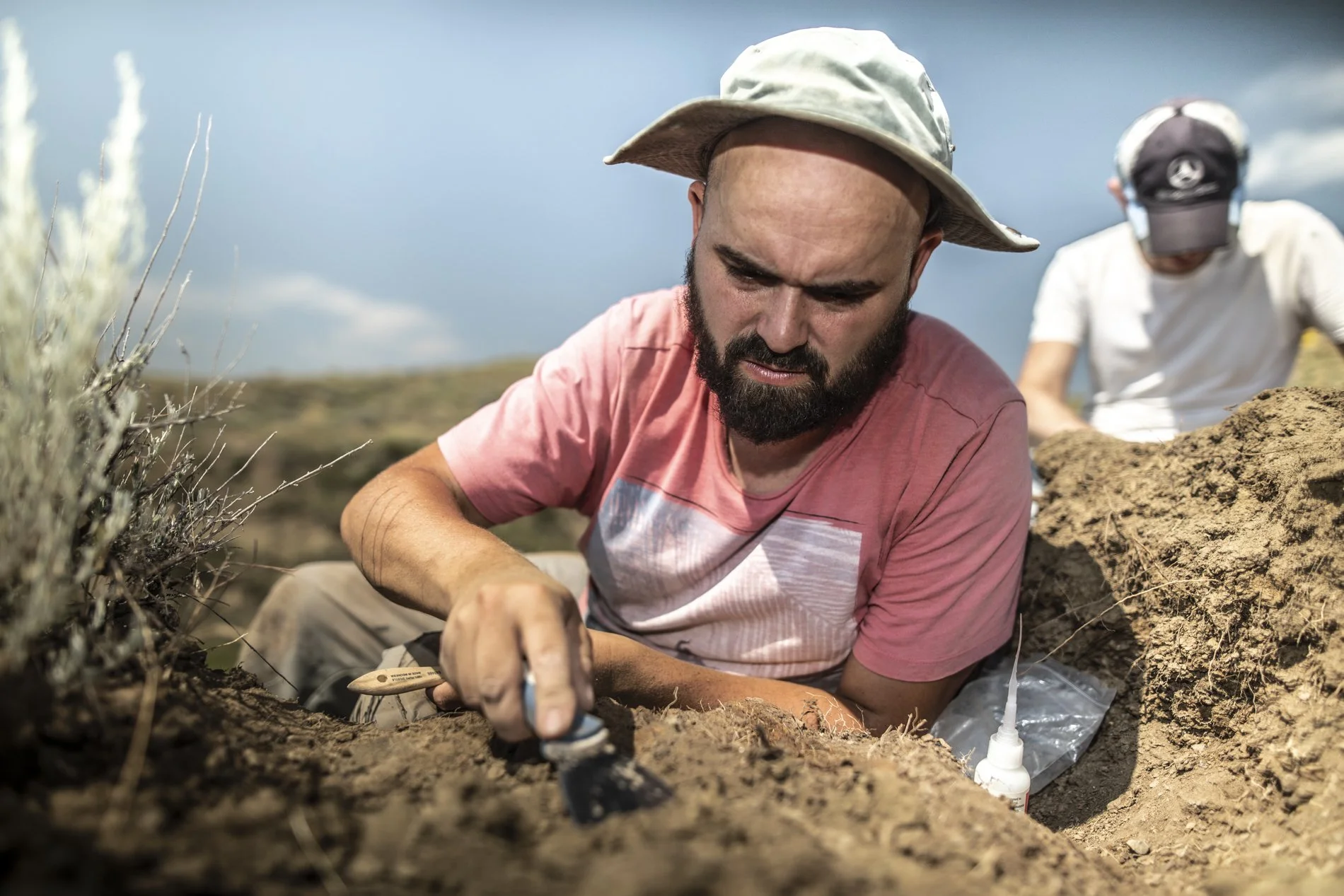 Dinoland, Dieuwertje Bravenboer-7.jpg