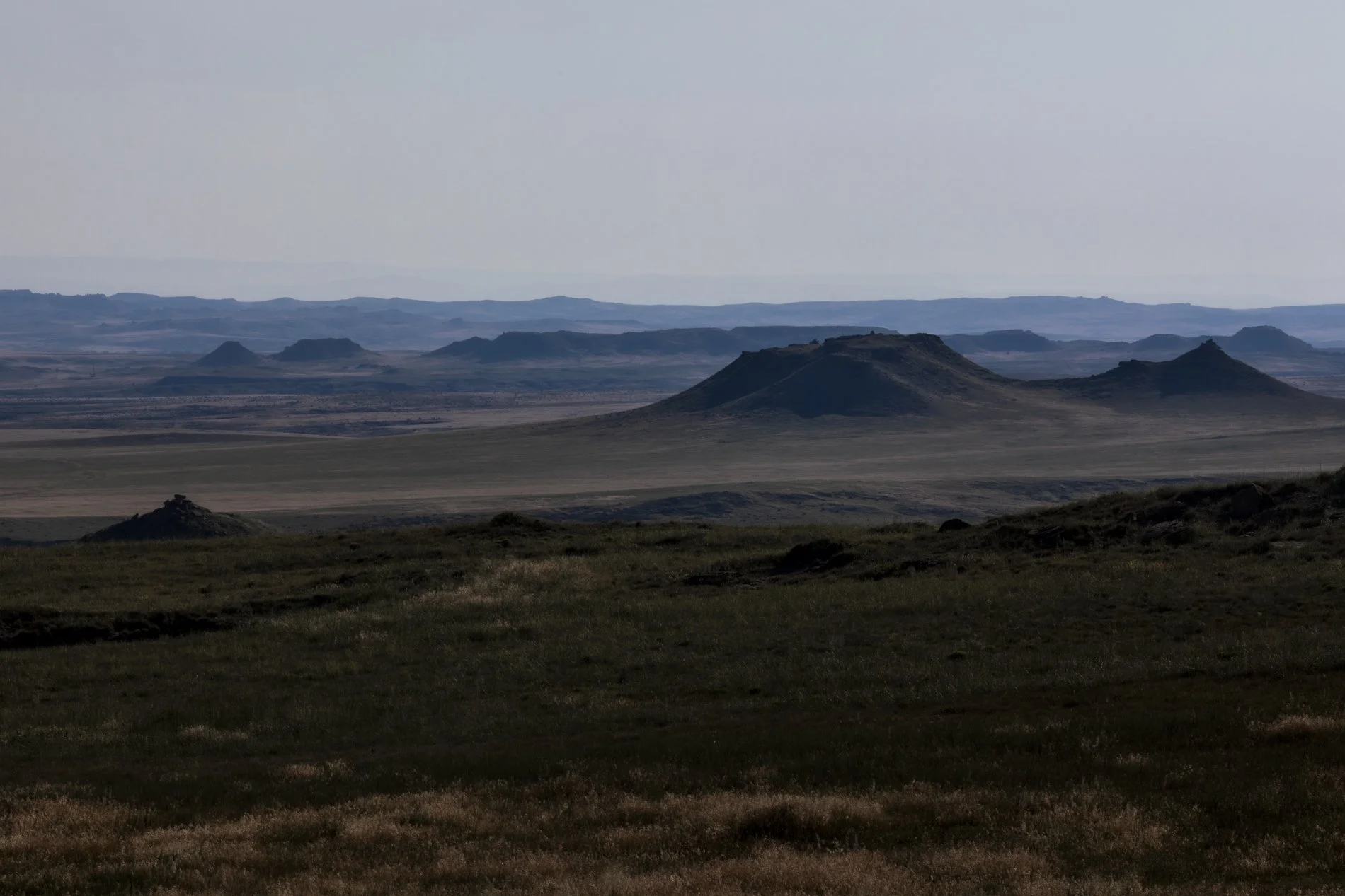 Dinoland, Dieuwertje Bravenboer-10.jpg