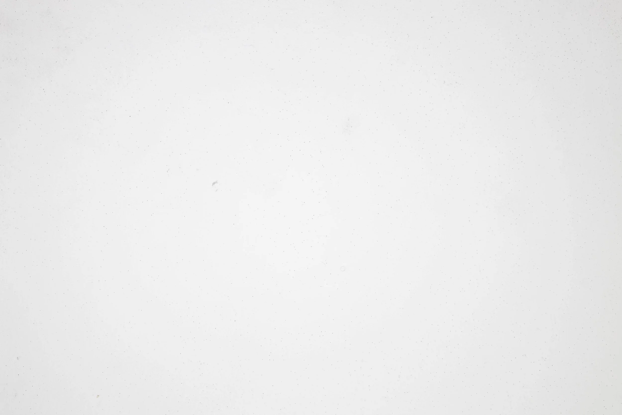 0H8A2404.jpg
