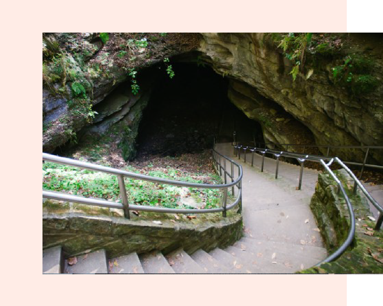 attractions-03.png