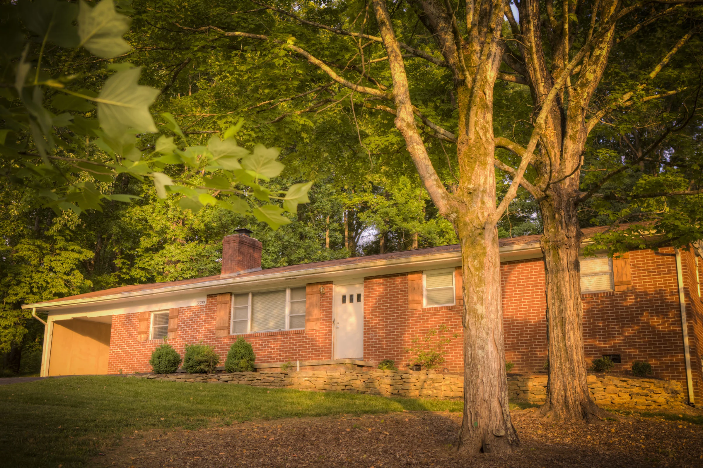 3300 Front zoomed Web Resolution.jpg