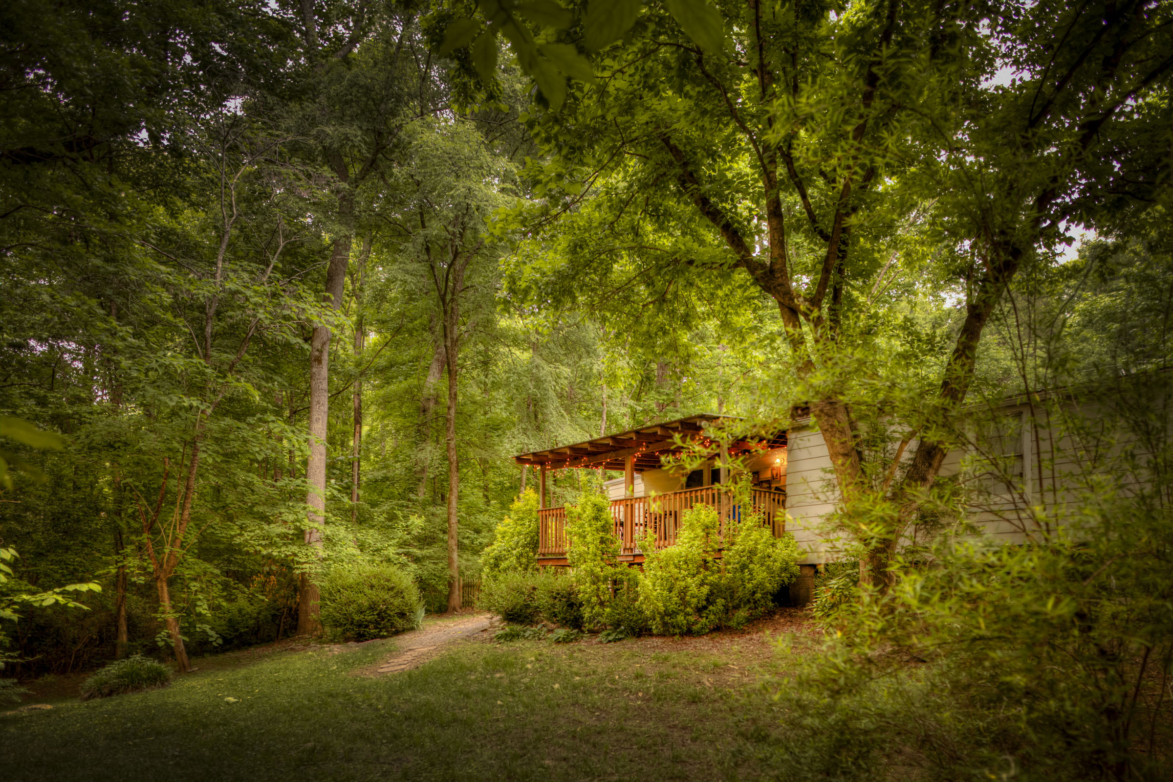 3213 Back Offset Web Resolution.jpg