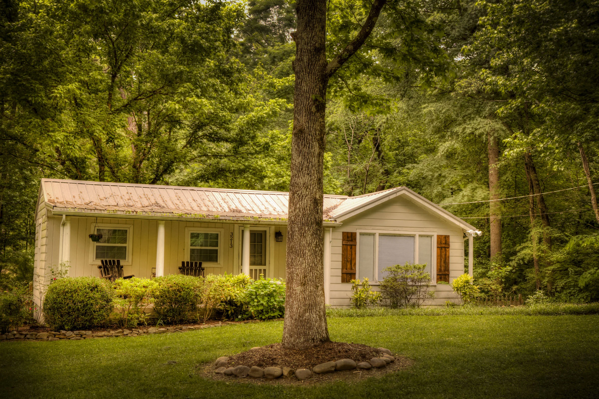 3213 Front offset Web Resolution.jpg