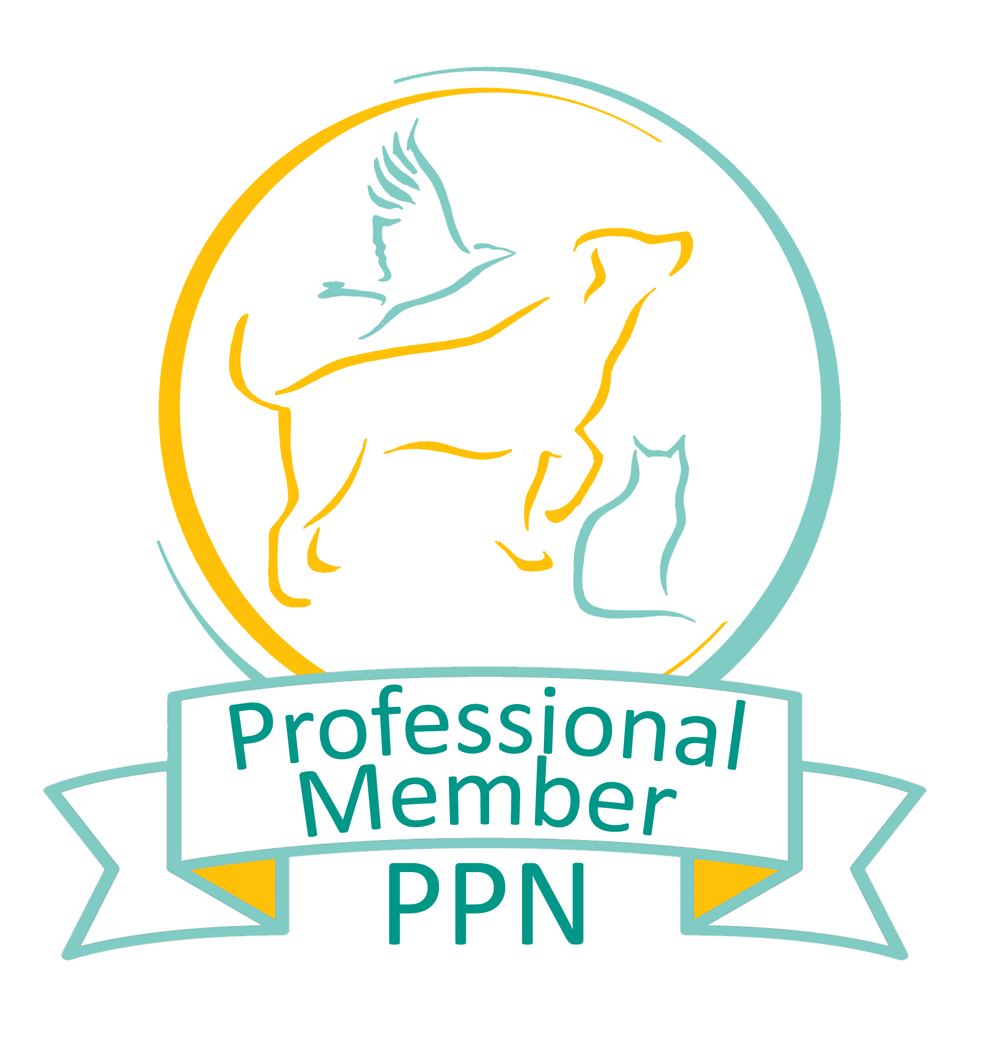 PPN Pro-Member.png