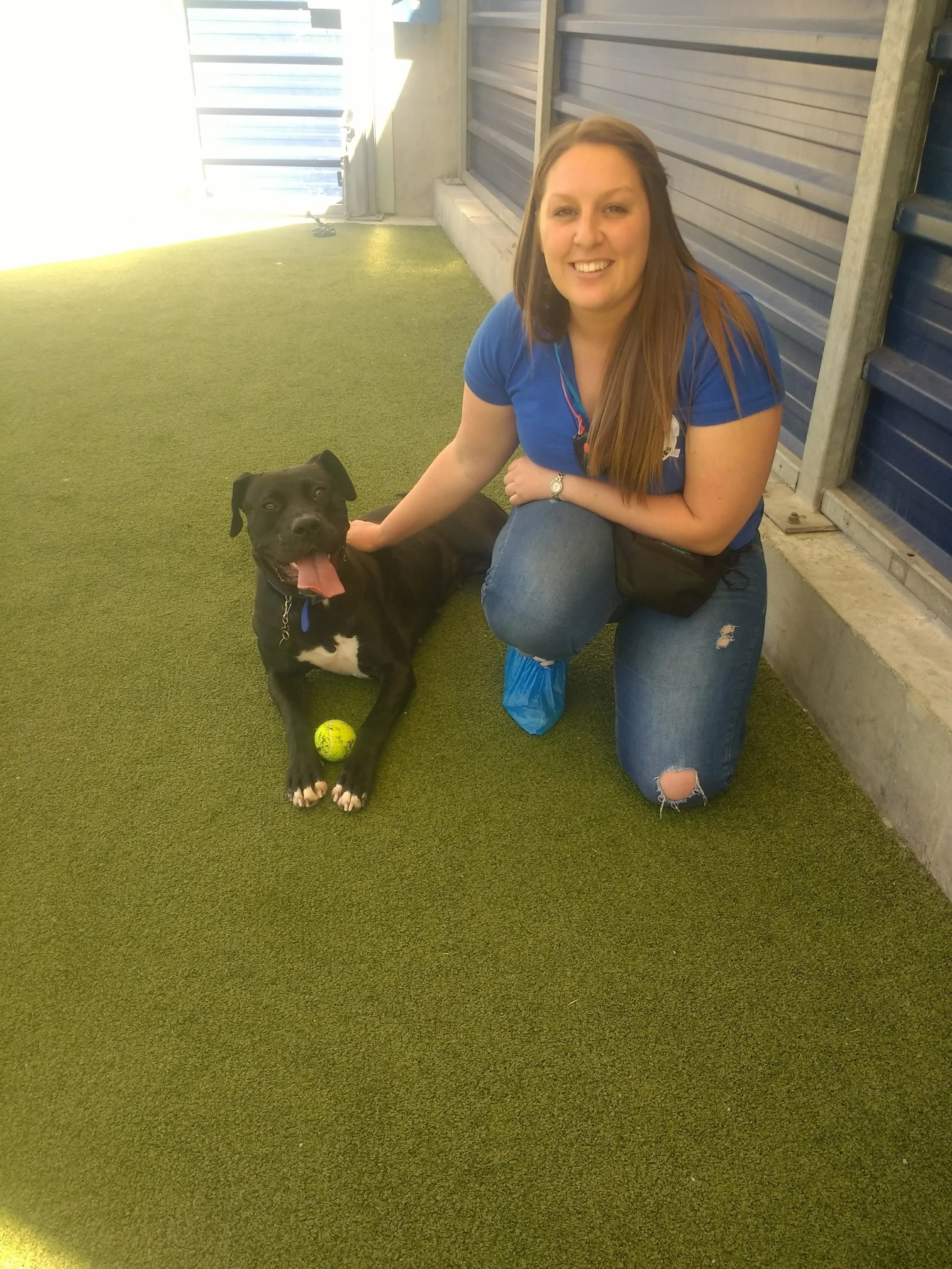 Me working with Bea at Battersea dogs home. This was on the 5th day. On the 1st day she was petrified of me and anyone new and would run away if anyone tried to go near her. She was shortly rehomed after this :)