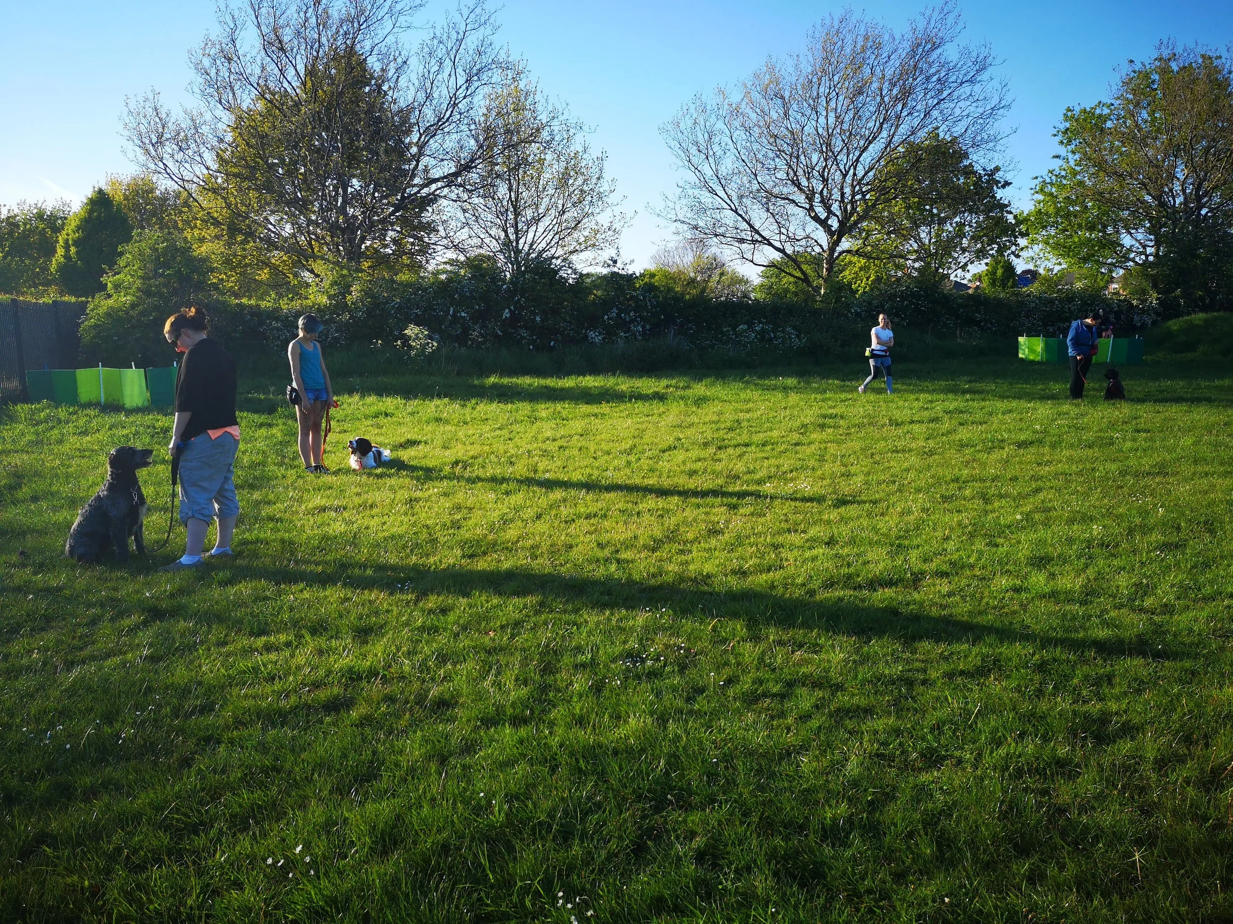 Relax; Dont’' React Class - A class where you don’t need to be nervous about your dog barking. We are here to help you!