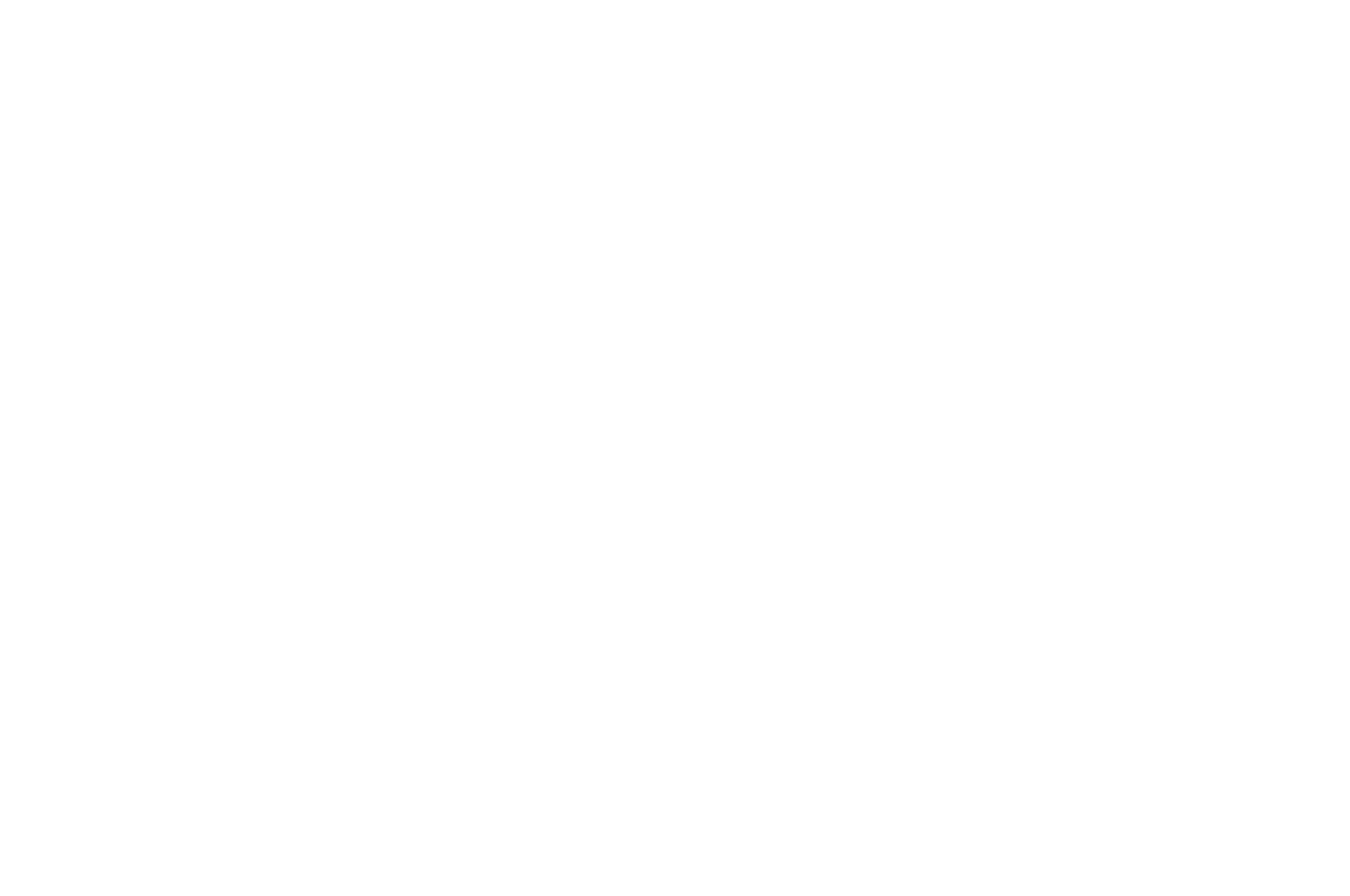 OFFICIAL SELECTION - Cinequest Film Festival - 2016 copy.png