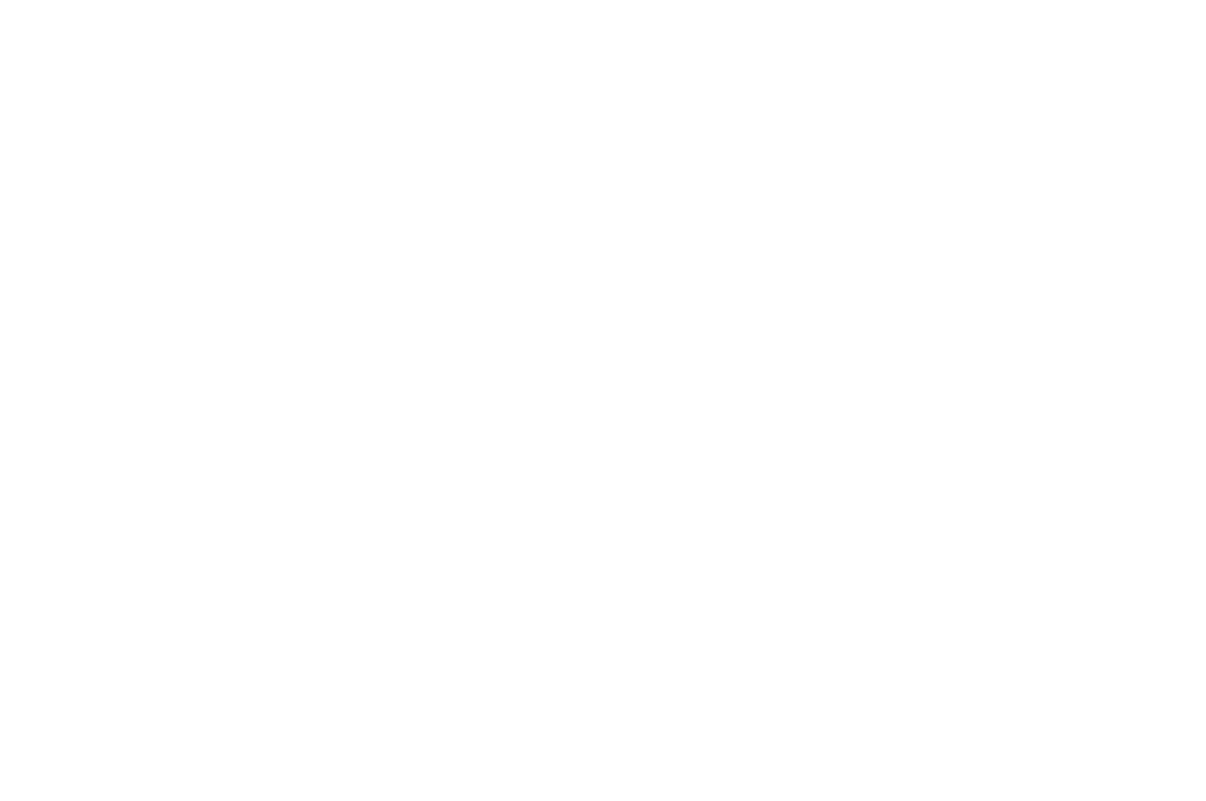 OFFICIAL SELECTION - Film Invasion LA Film Festival - 2016.png