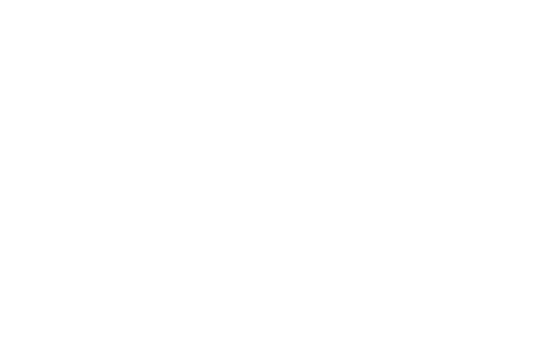 OFFICIAL SELECTION - Chicago Comedy Film Festival - 2016.png
