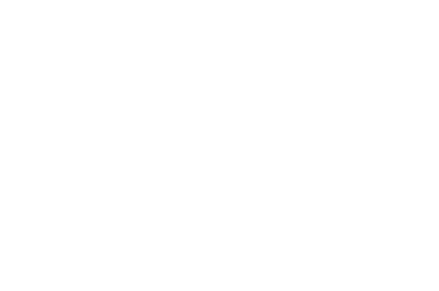 WINNER 2016 - Manhattan Film Festival - Best Feature Romantic Drama.png