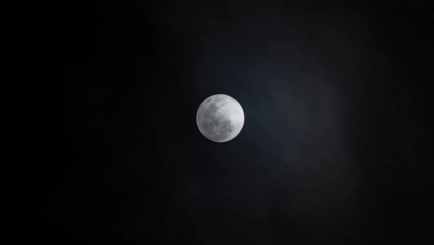 I tried to take a photo of the moon and entirely forgot about it

#nightphotography #moonphotography #photography #photographer