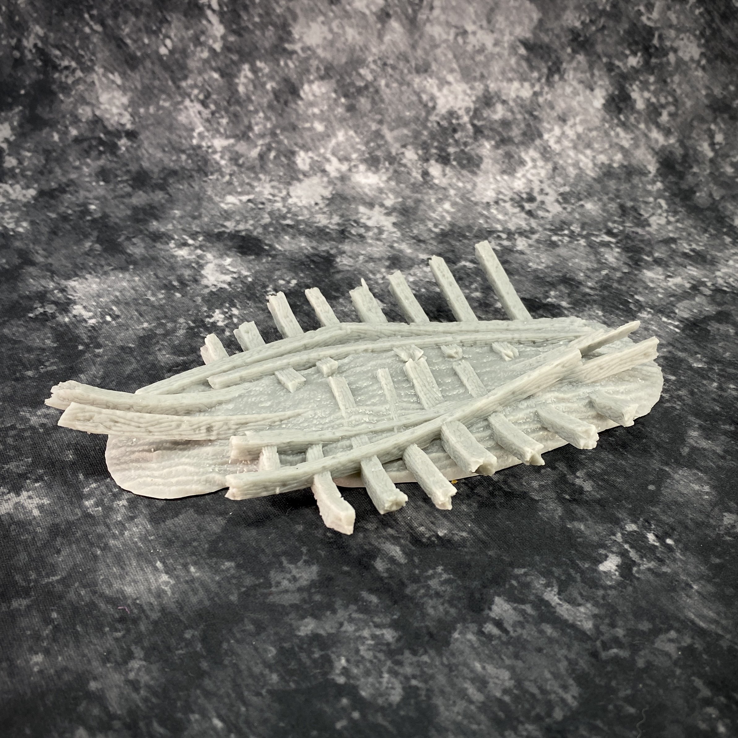 ShipWreck_Ribs_01.JPG