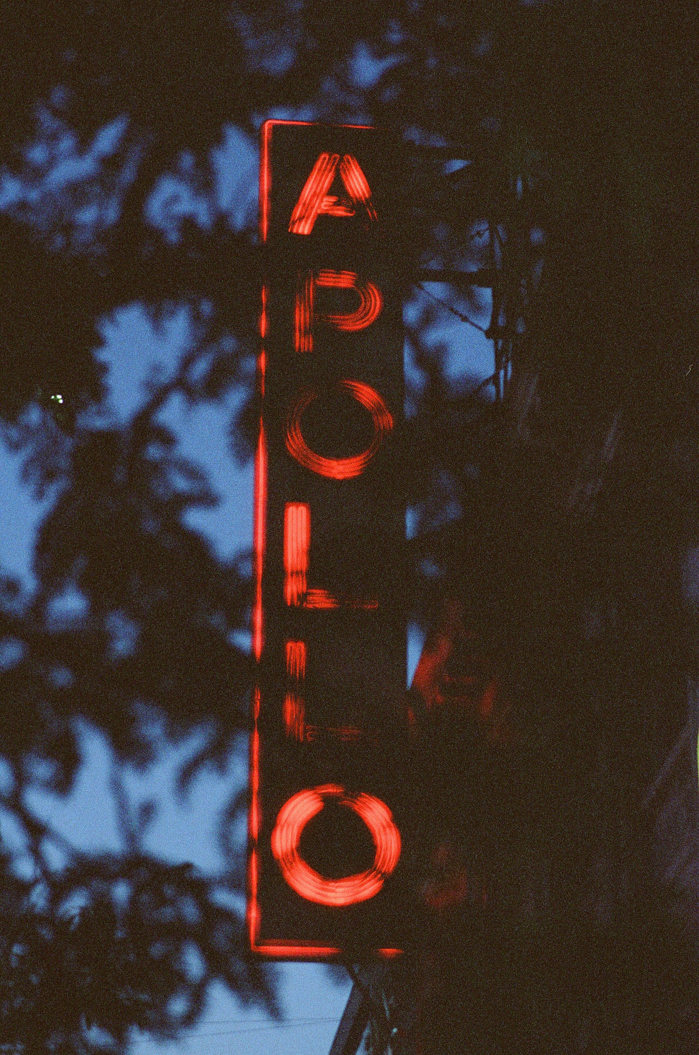 91460021.jpg