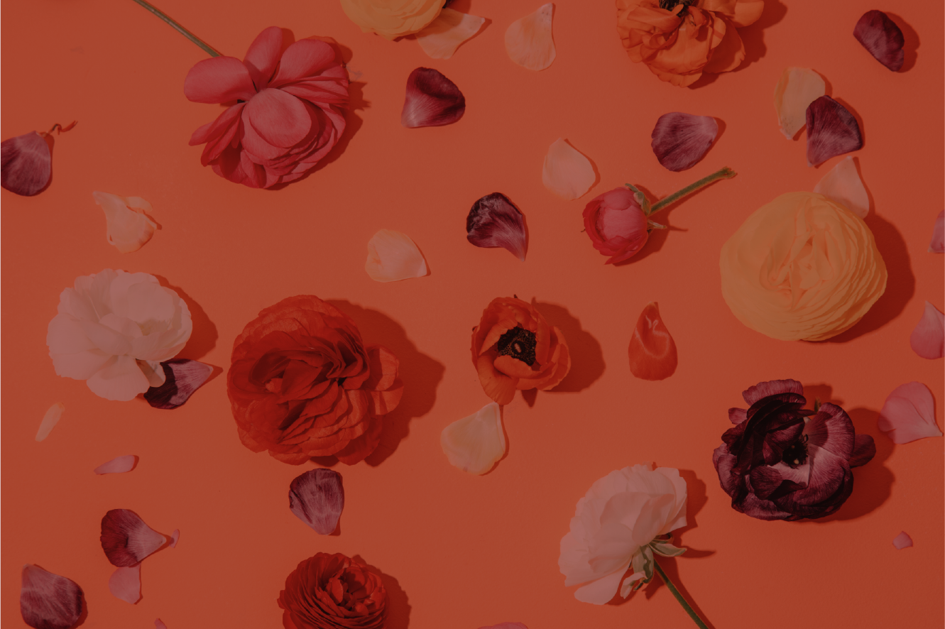 Background1.png