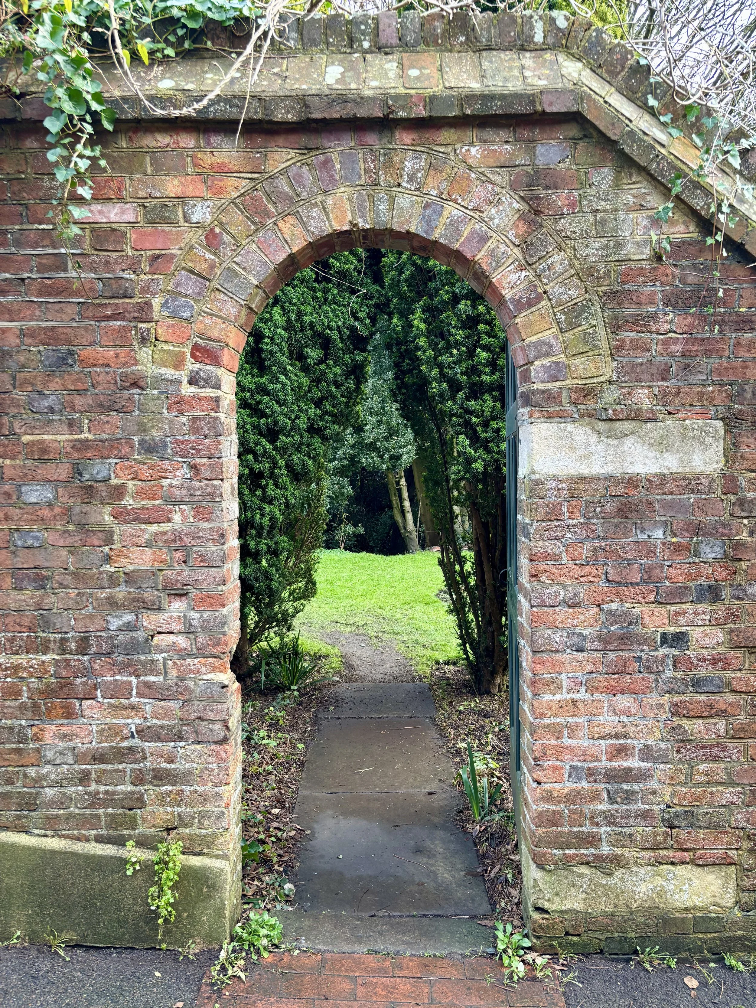 Therapy as the Open Door to Change 