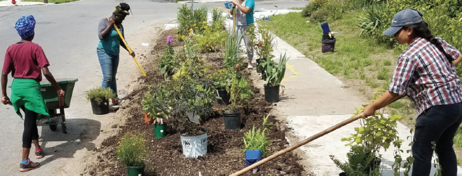5 Loaves Farm cultivates hope on Buffalo’s West Side