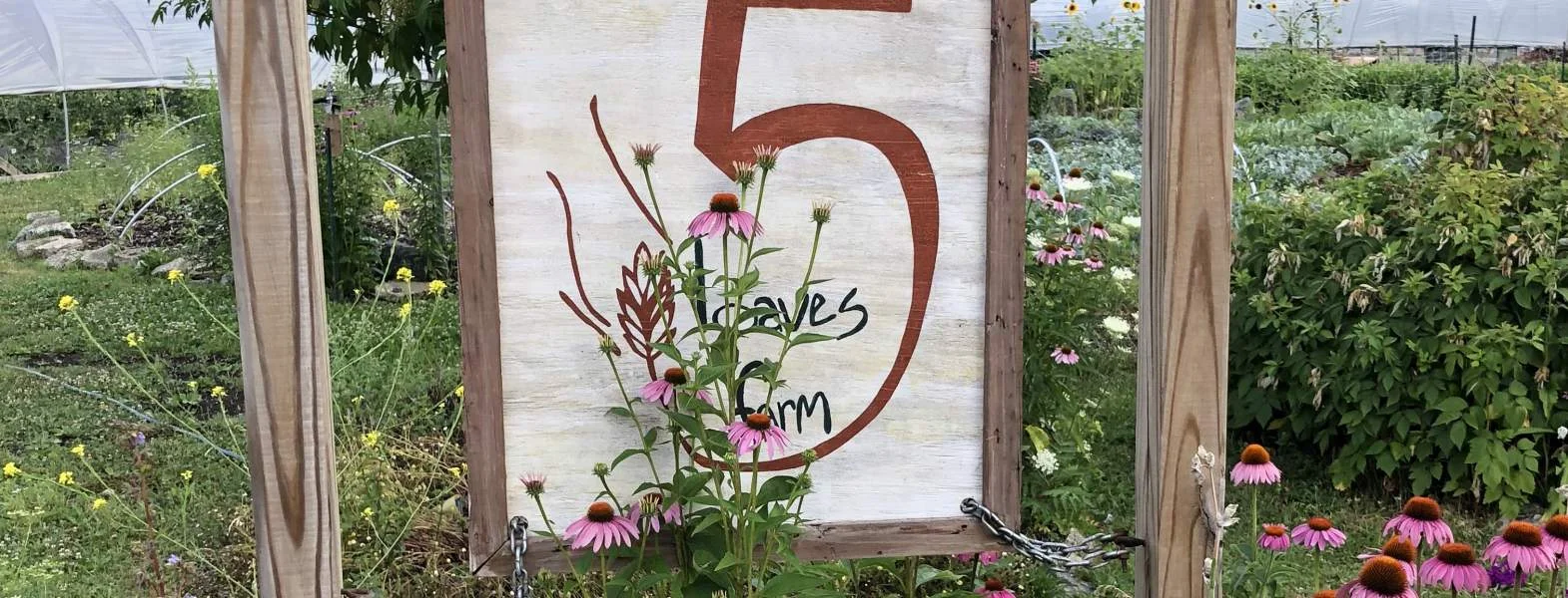 5 Loaves Farm Welcomes Neighbors Through the Lunenfeld Grant