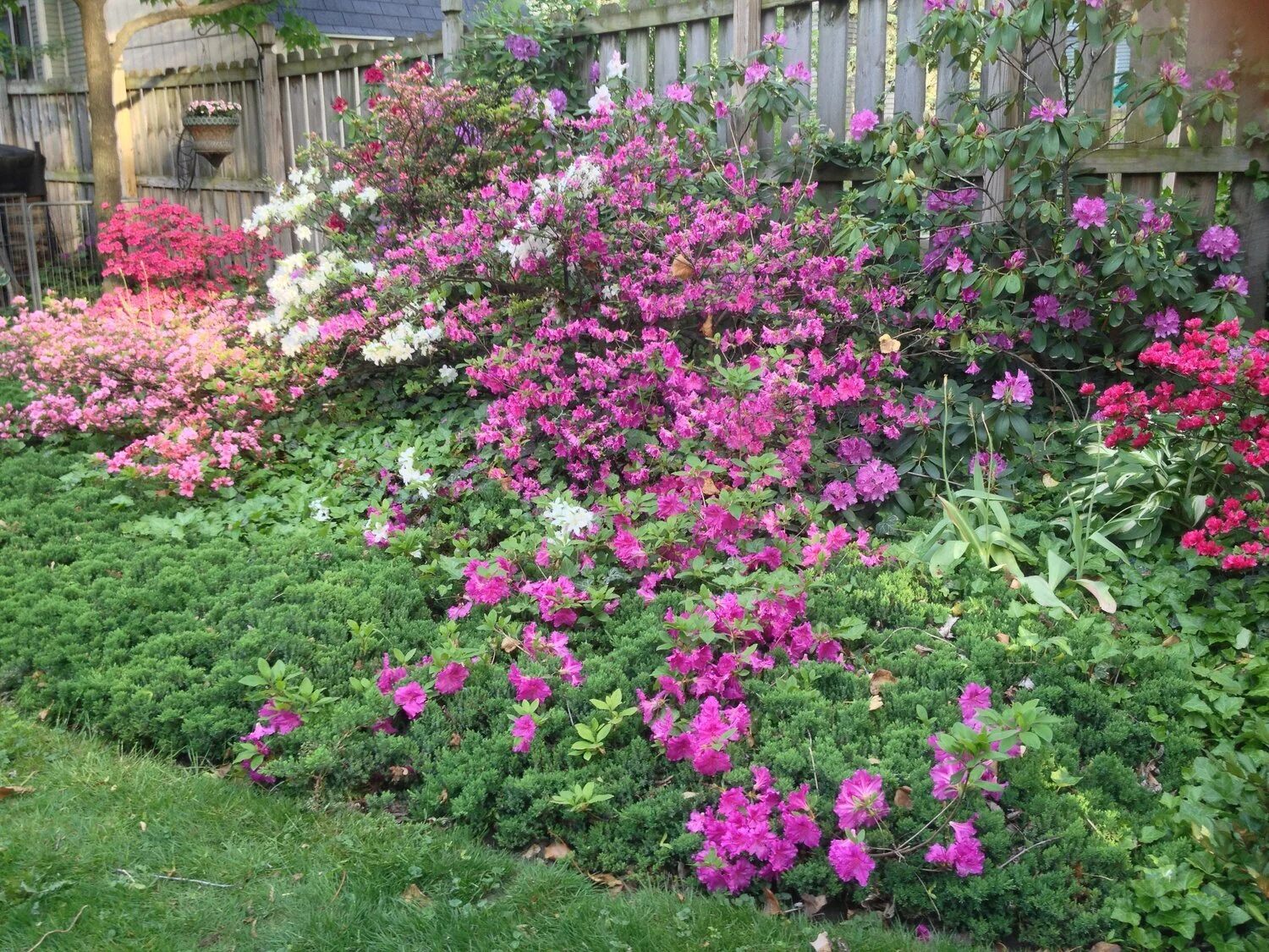 Garden Tours to enjoy from your sofa!