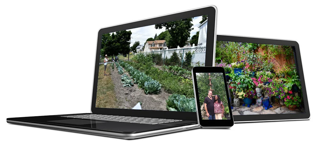 What's growing on in Buffalo…