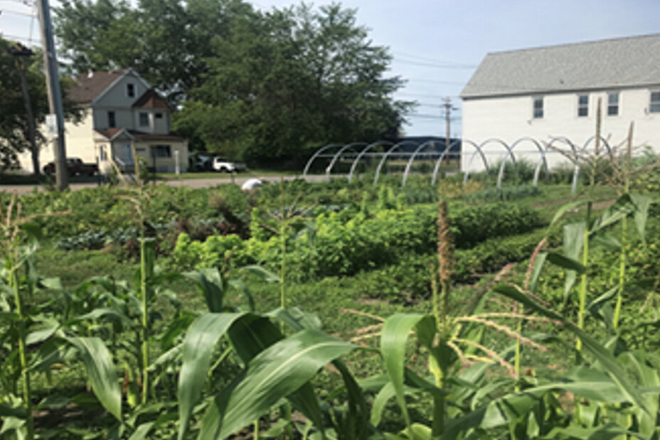 Promise Valley Farm (Copy)
