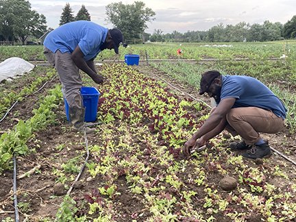 Providence Farm Collective 