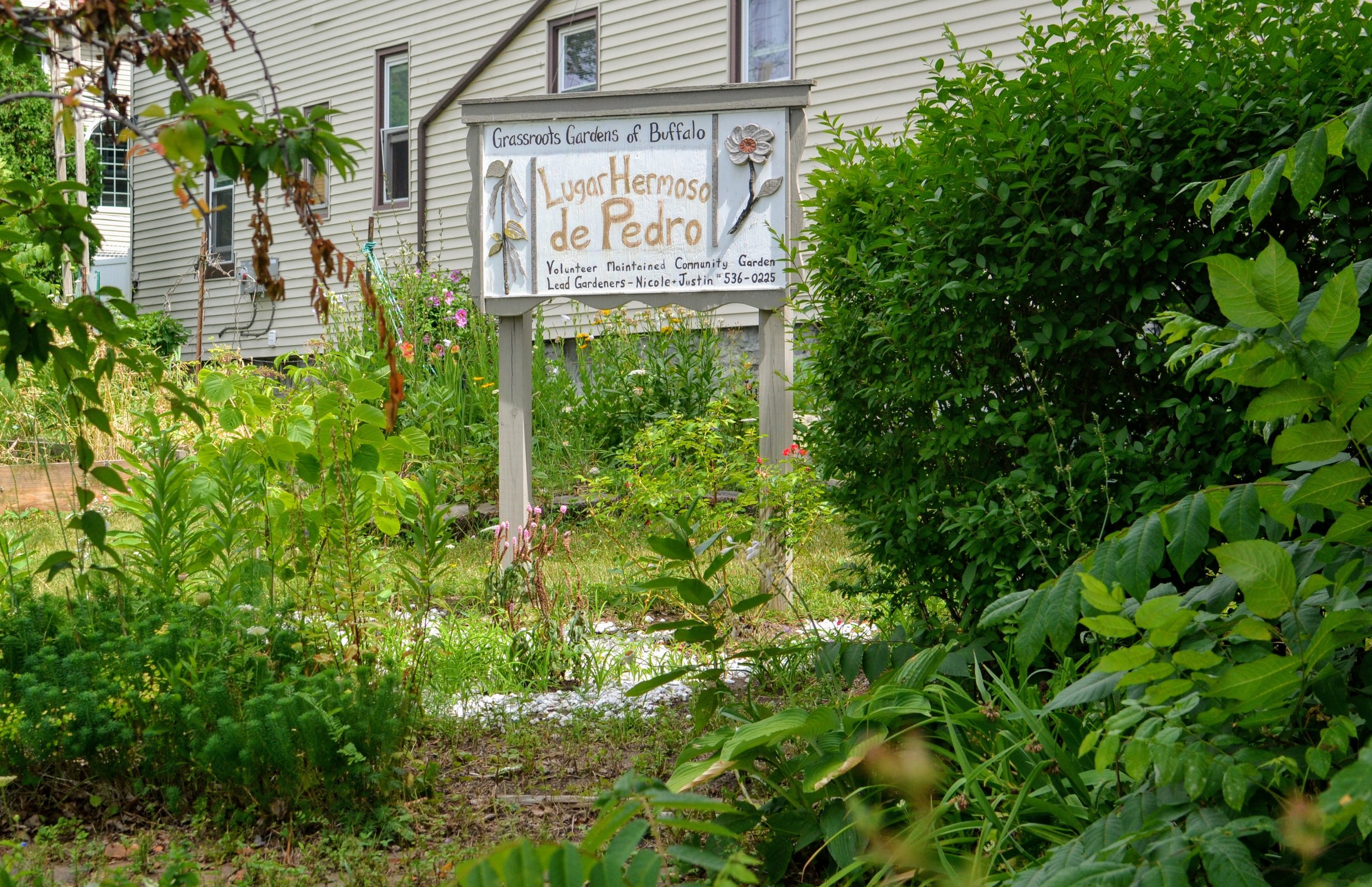 Lugar Hermoso de Pedro Community Garden / Big Big Table 