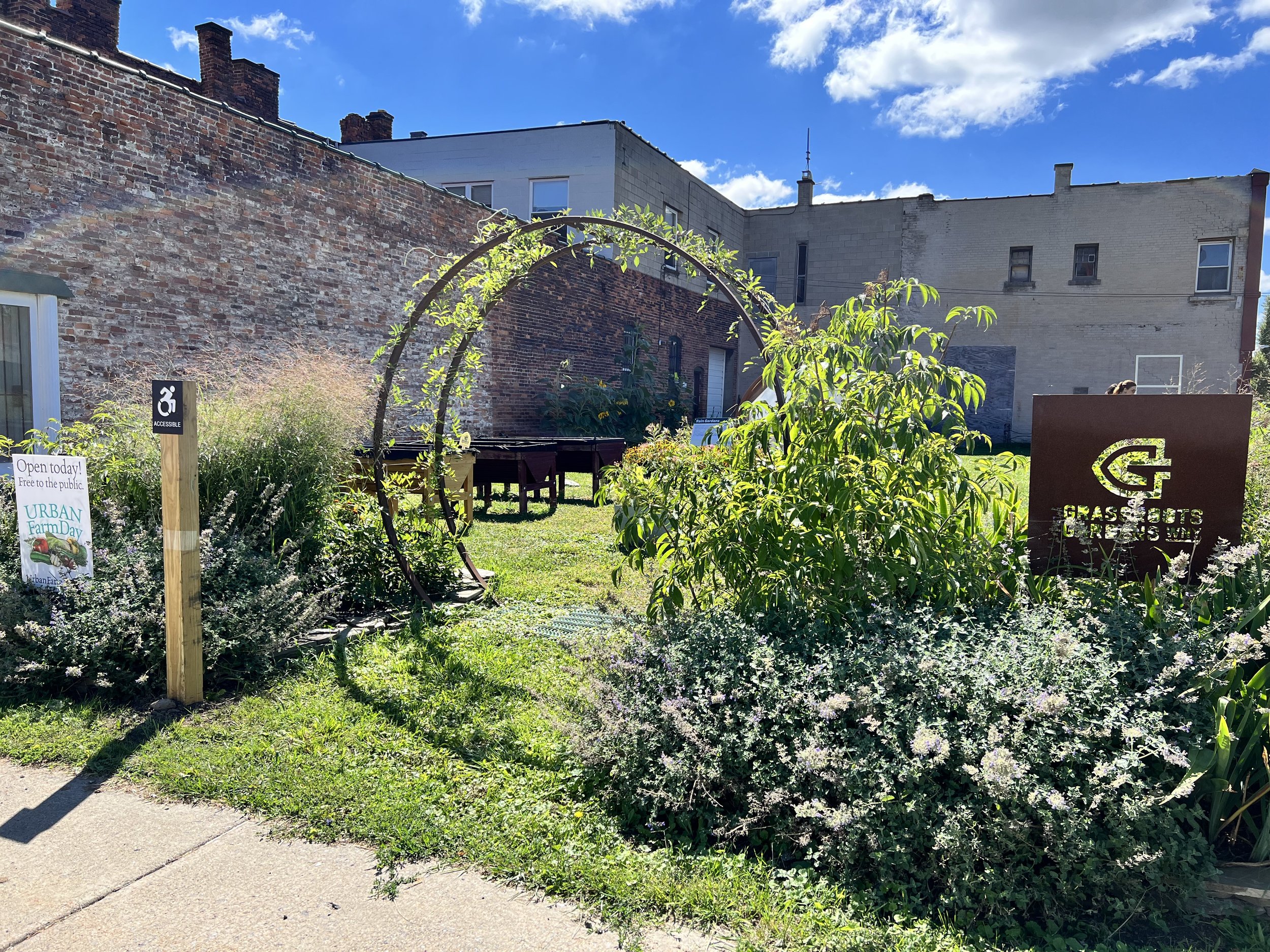 Grassroots Gardens 