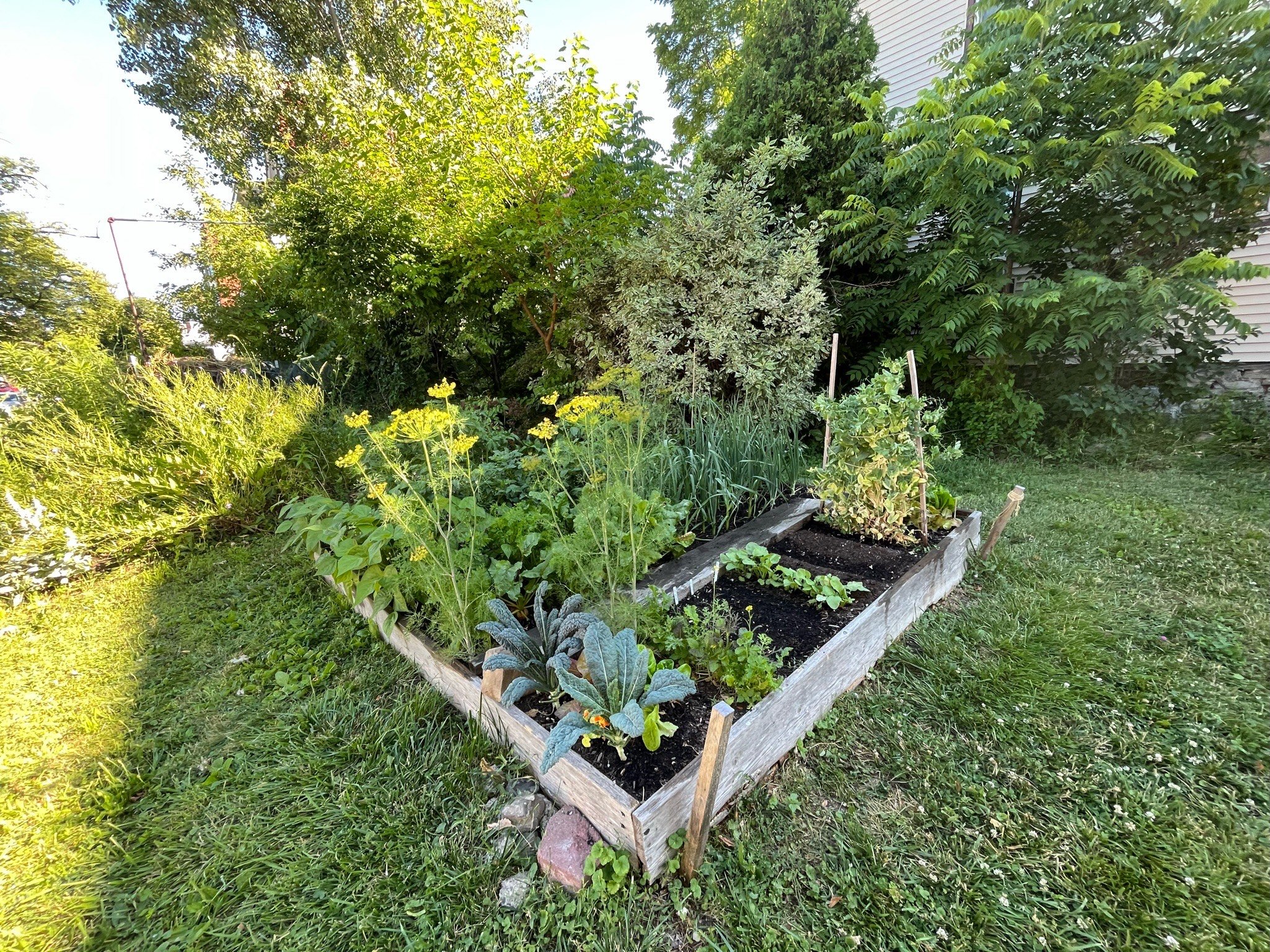 Big Big Table Garden Bed  