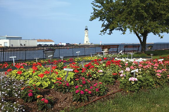 Erie Basin Marina Trial Gardens