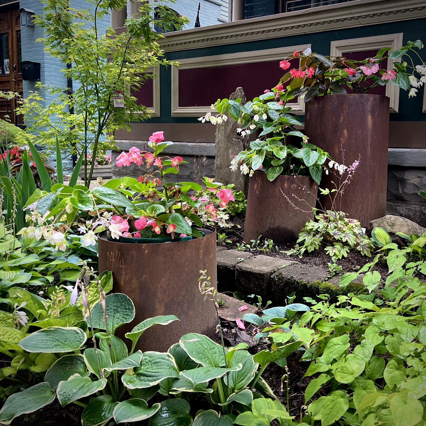 Have you stumbled upon any hidden gem on Garden Walk Buffalo? A charming no-grass front yard found on N Pearl St, in Allentown. 

(Photo by Jay Jinge Hu)