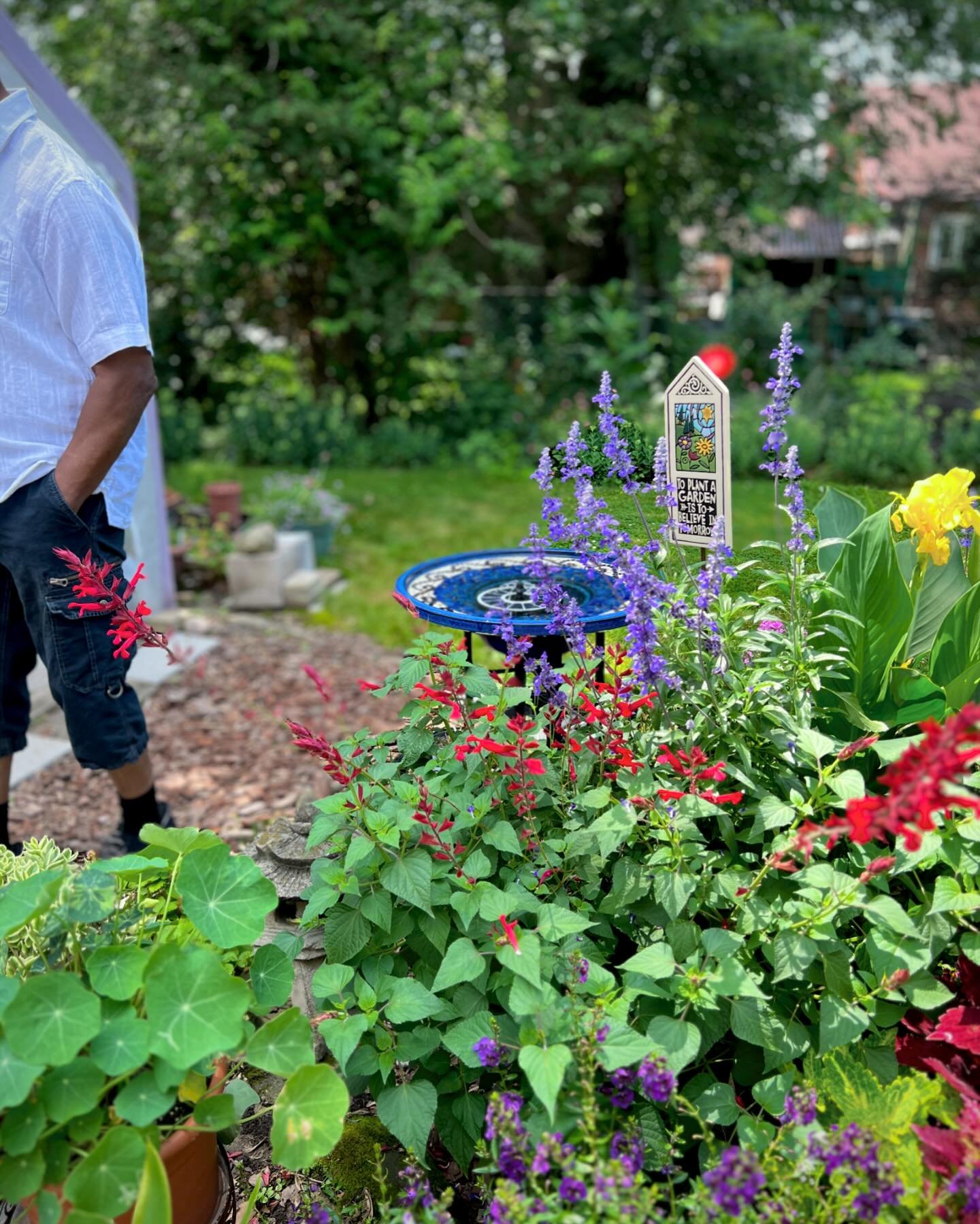Summer is just around the corner, be part of the celebration and help us spread the word - East Side Garden Walk sign up closes in a few days, sign up at EastSideGardenWalk.com

(Photo by Jay Jinge Hu. Visitor at a garden on Campbell Rd)