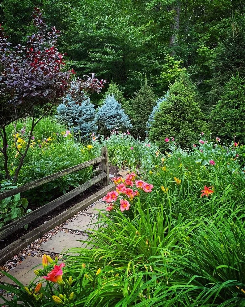 An Orchard Park garden on Open Gardens. Photo by Jim Charlier.