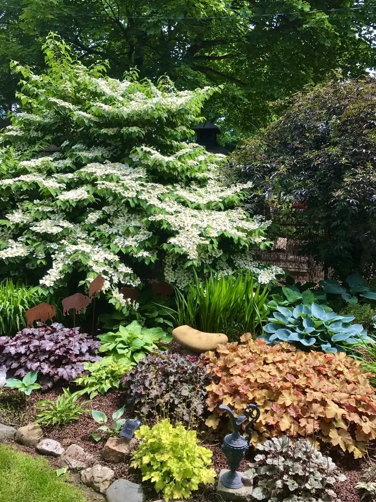 An Elmwood Village garden on Open Gardens. Photo by Jim Charlier.