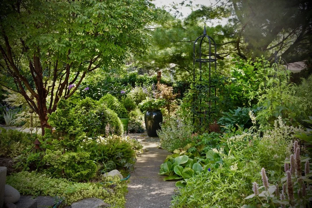 A Williamsville garden on Open Gardens. Photo by Jim Charlier.