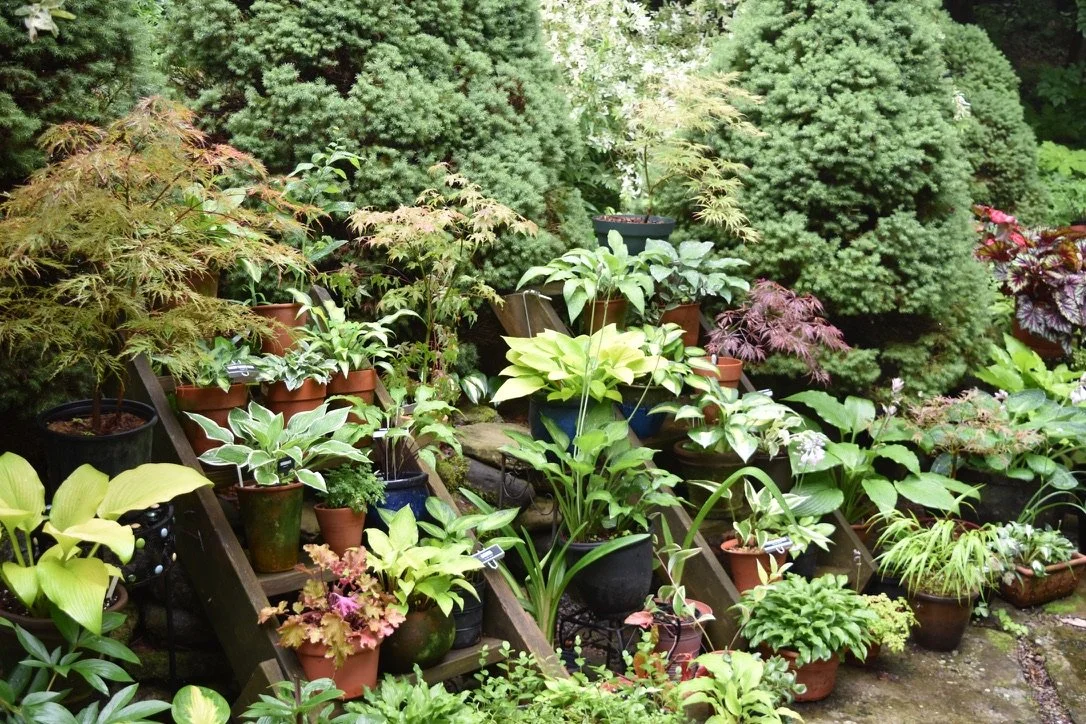 A Boston Hills garden on Open Gardens. Photo by Jim Charlier.