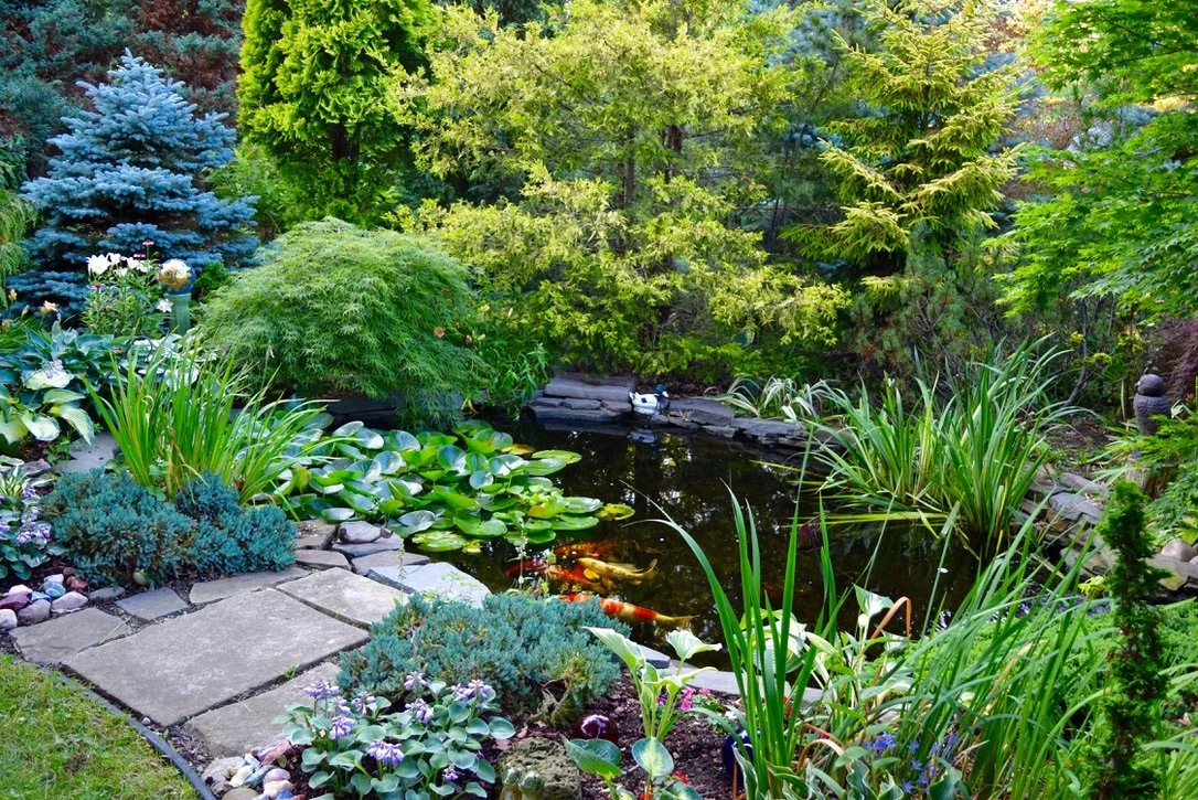 A Lakeshore garden on Open Gardens. Photo by Jim Charlier.