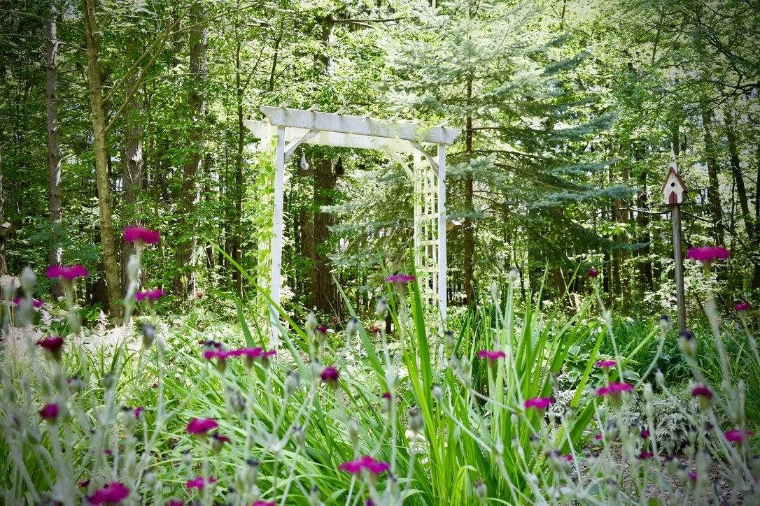 An Orchard Park garden on Open Gardens. Photo by Jim Charlier.