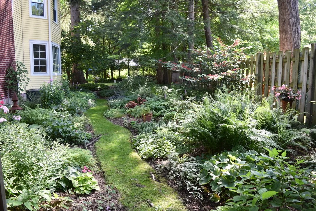An East Aurora garden on Open Gardens. Photo by Jim Charlier.
