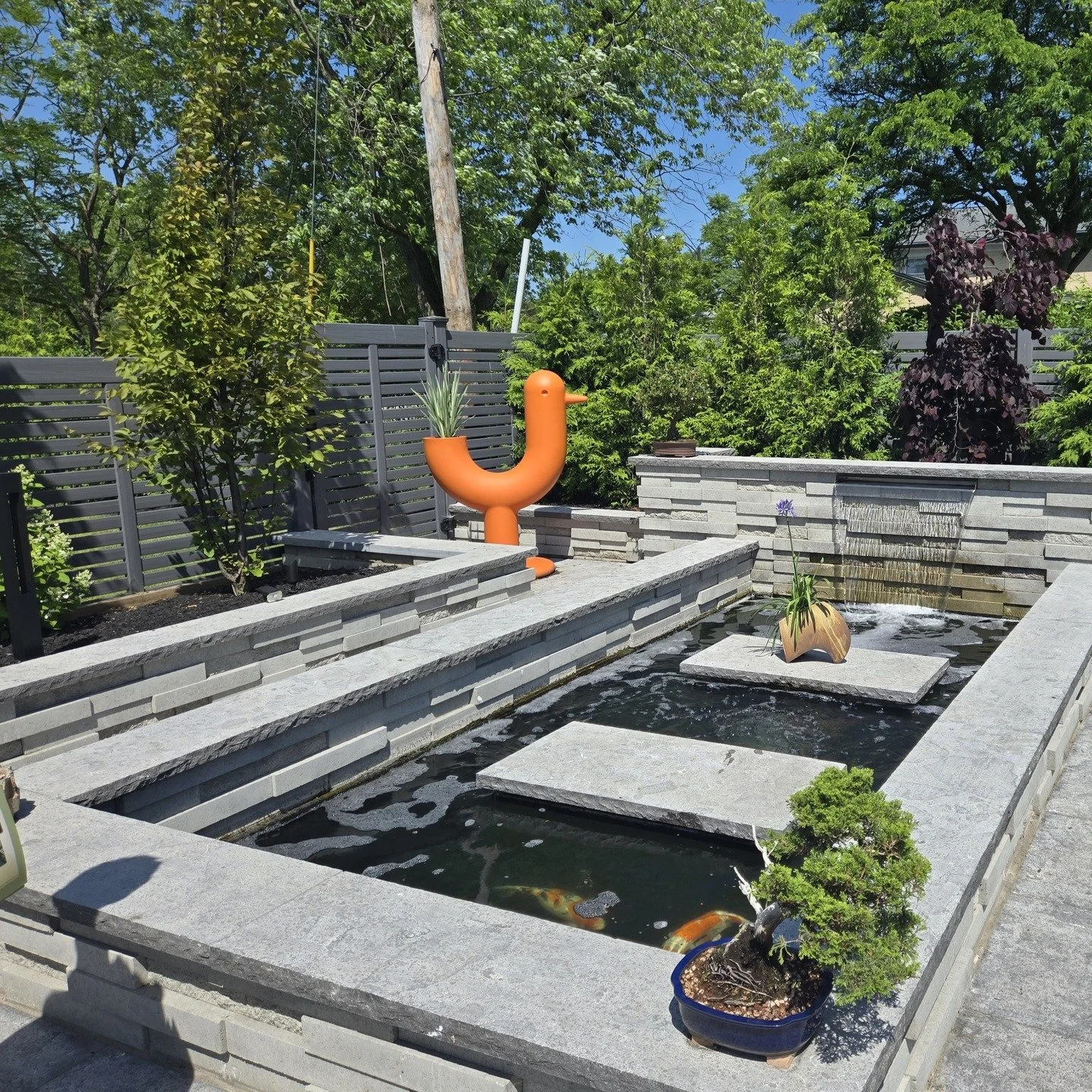 Earlier this week, we had the pleasure of visiting one of the newest additions to Garden Walk Buffalo! Dave &amp; Shelley are paving the way on Nottingham Terrace with their stunning garden&mdash;the first of what we hope will be many more gardens on