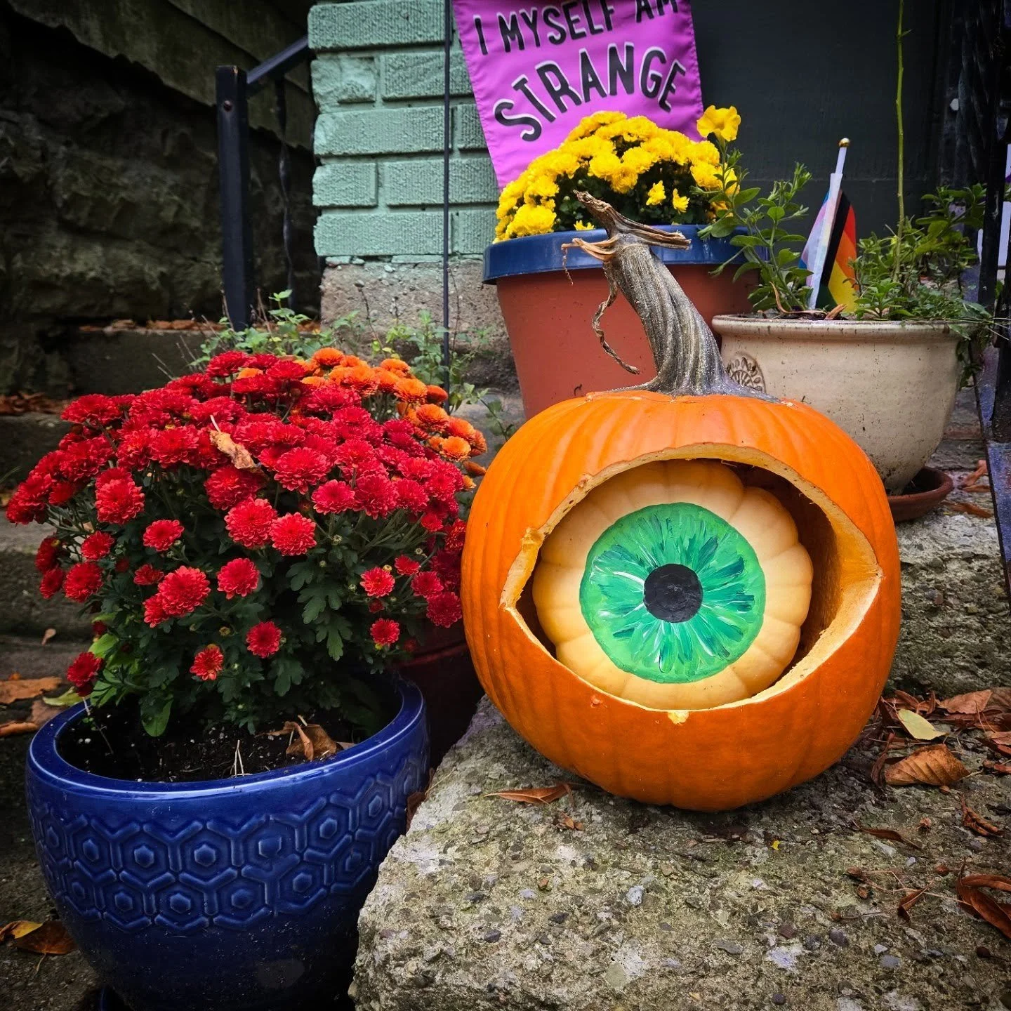 Is spooky season really all that different from Garden Walk season? You still stroll down streets, admire the yards, and try to one up your neighbors display... Plus the dead flowers add to the vibe!
#spookyszn #GardenWalk