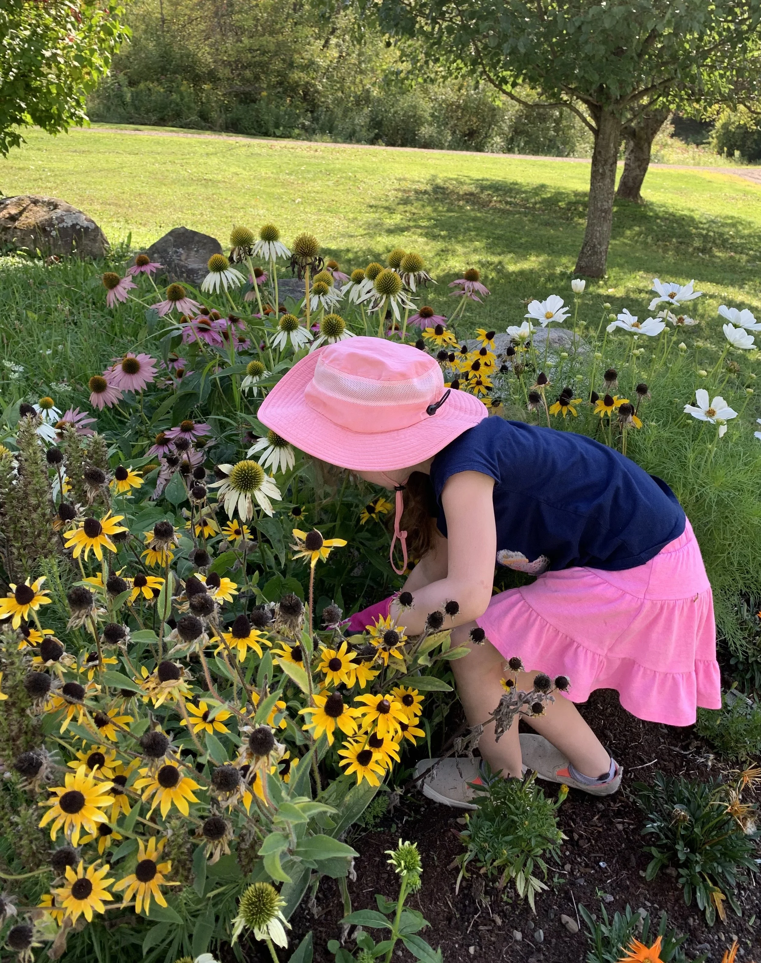 Springville-Concord Garden Walk