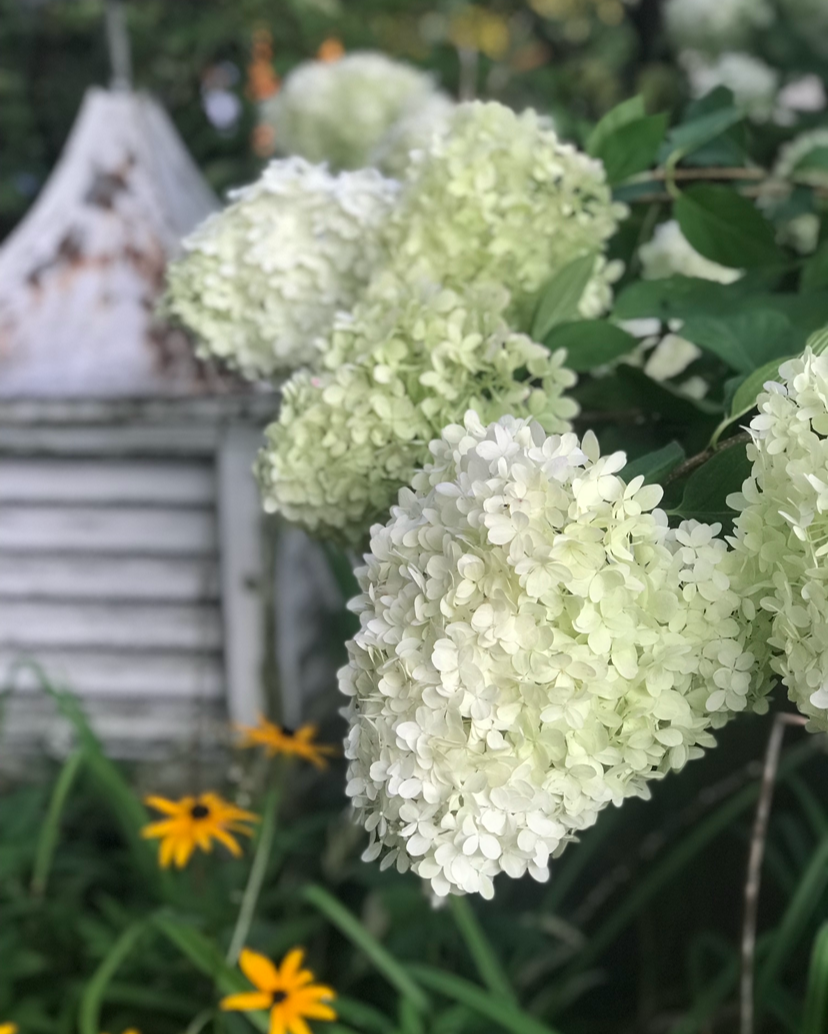 Lancaster Garden Walk