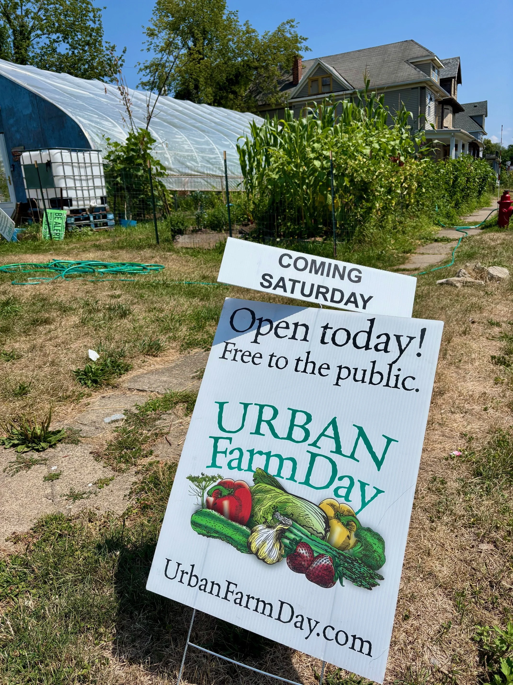 Brewster Street Farm