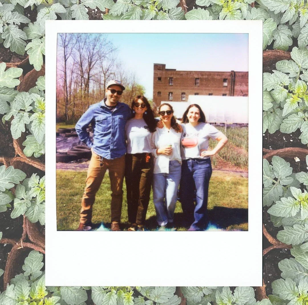 Groundworks Market Garden