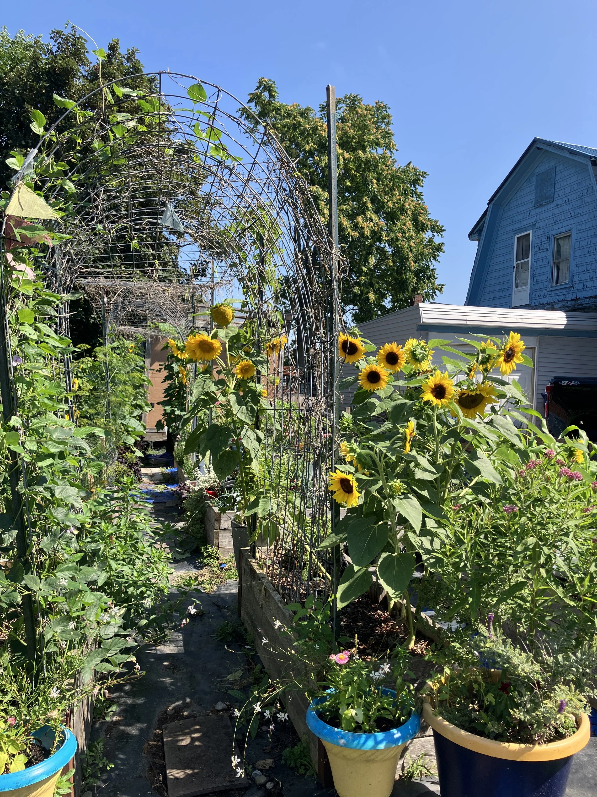 Pelion Outdoor Classrom