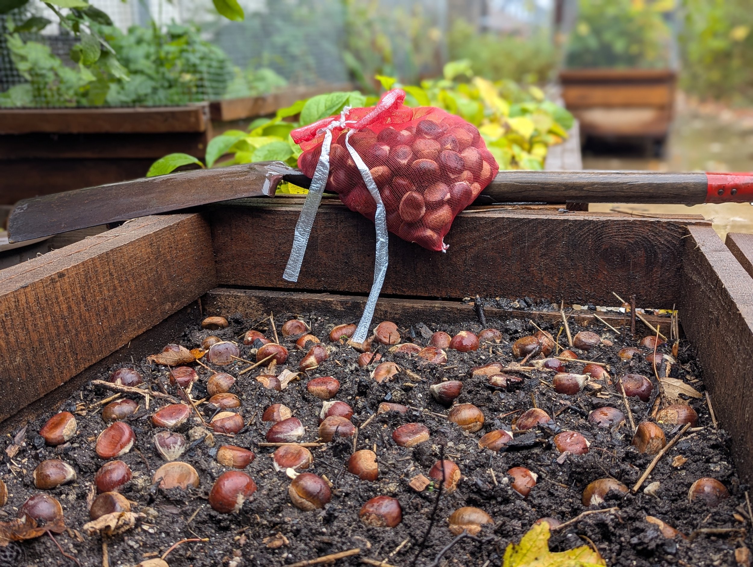 Briar + Bosk Forest Garden Nursery &amp; Bakery 