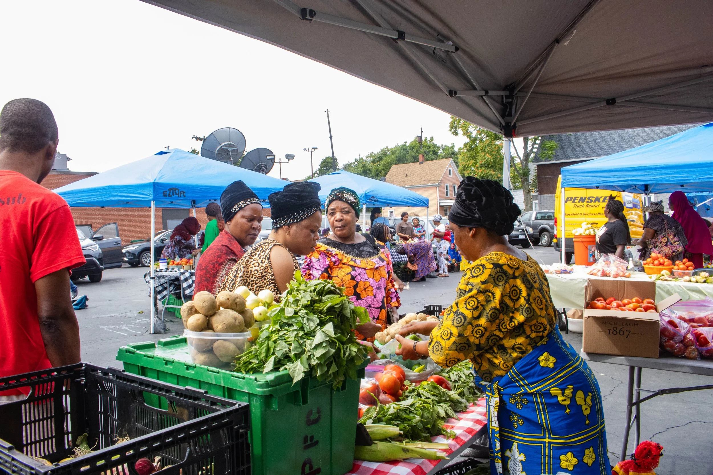 Providence Farm Collective