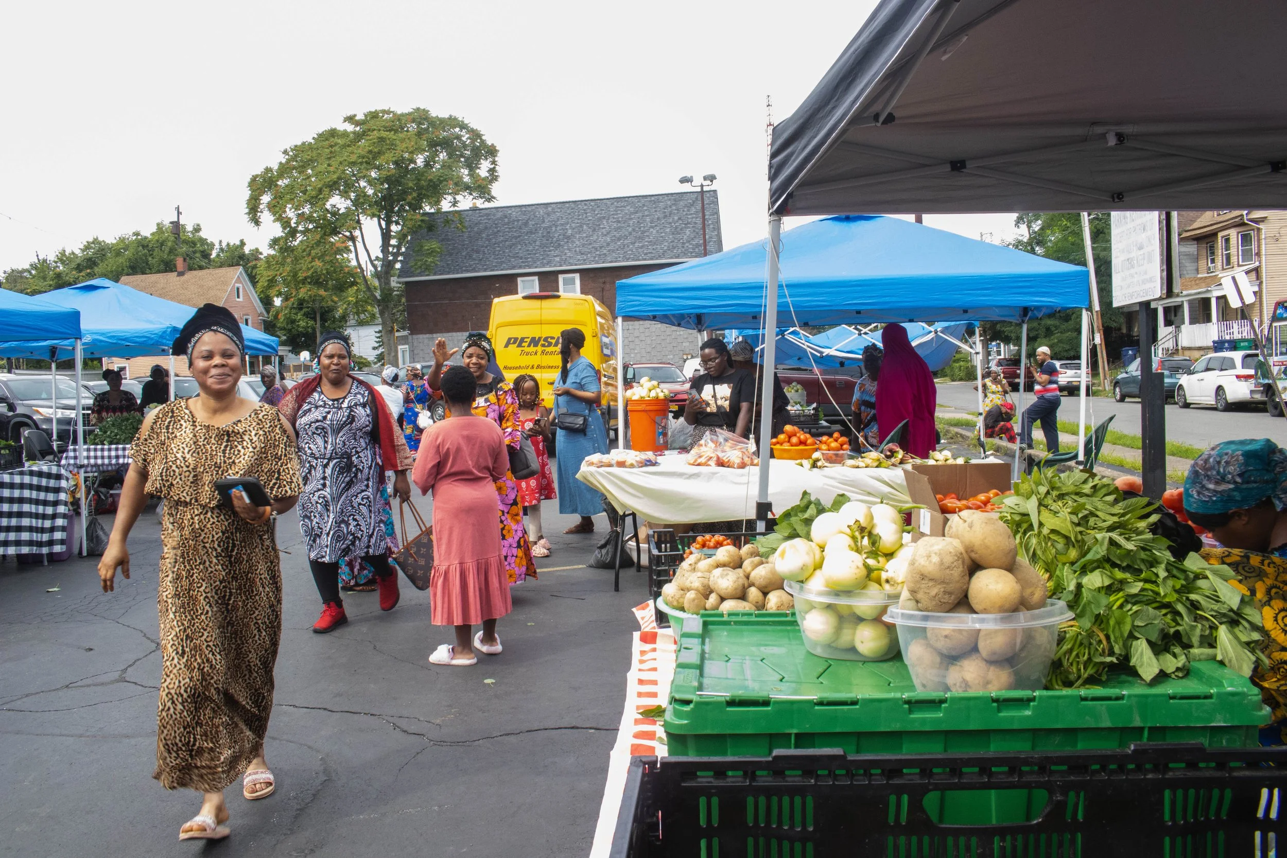 Providence Farm Collective