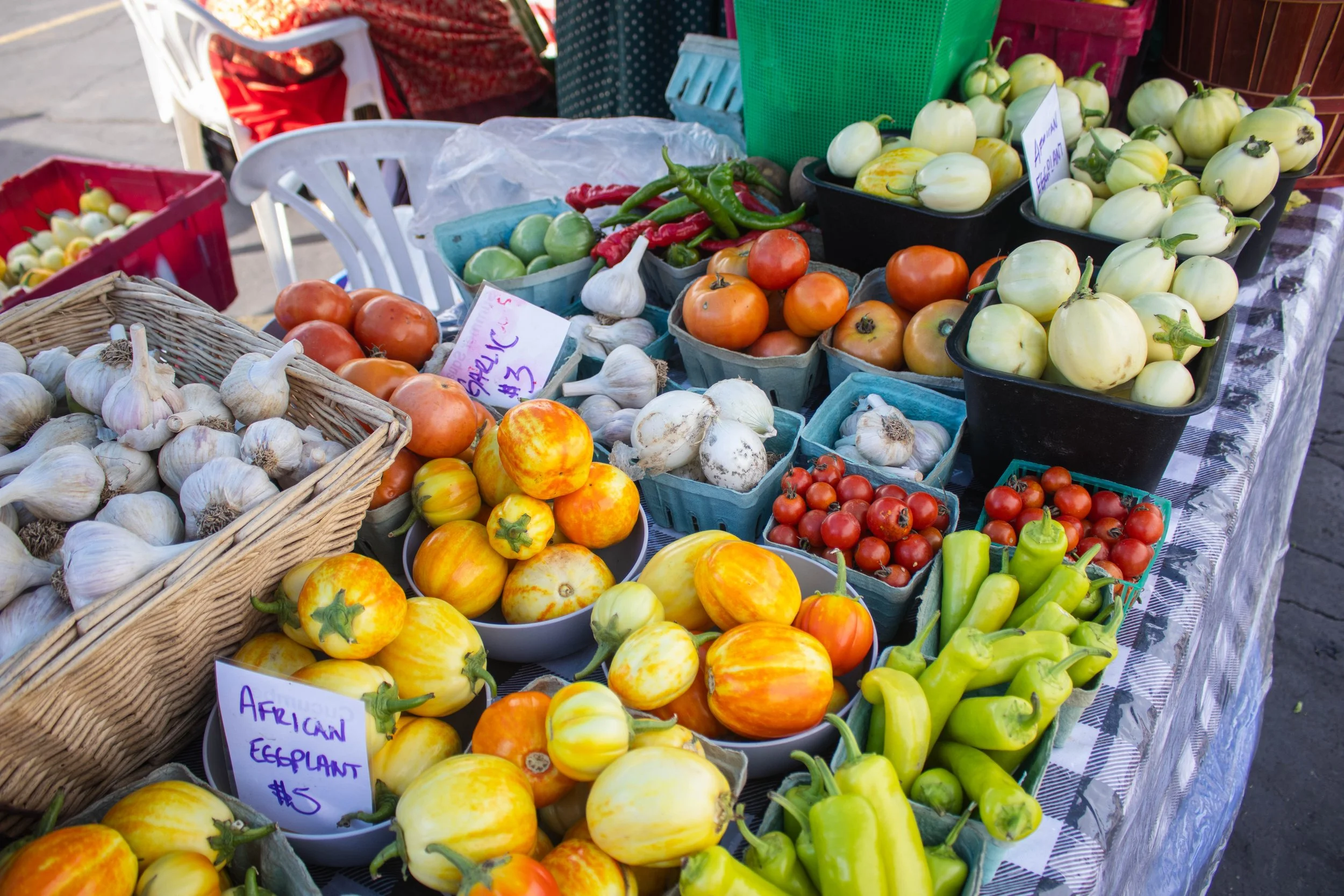 Providence Farm Collective